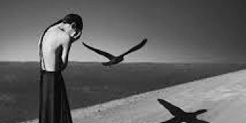 Me and My Shadow: Exploration & Integration