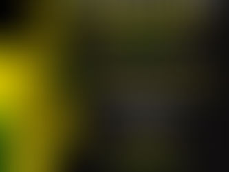 Tyrese Gibson & Busta Rhymes Host Exclusive Art Basel Fundraiser Benefiting Jamaica Hurricane Relief