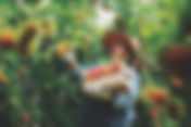Throughout November, the Greater Miami Convention & Visitors Bureau Spotlights the People, Places and Experiences of South Dade with Farmers Month