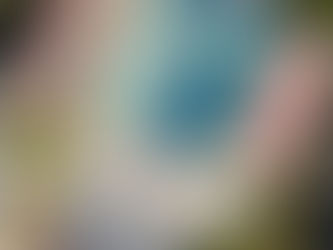 South Florida's Best Hotels for a Hatchelorette Escape