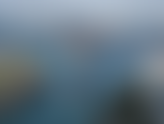 New Hotels, New Restaurants and Even New Capybaras: Miami and Miami Beach Start 2026 Busy