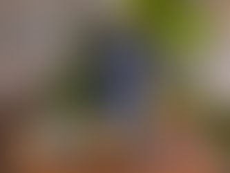 From Gallery to Table: Art Inspires the New Menu at Verde