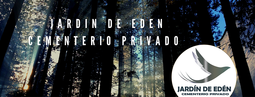 Blanco Foto Bosques Escapada Facebook Po
