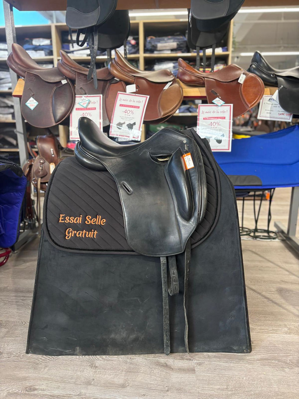 Miniature : Hervé Godignon Dressage (123803)