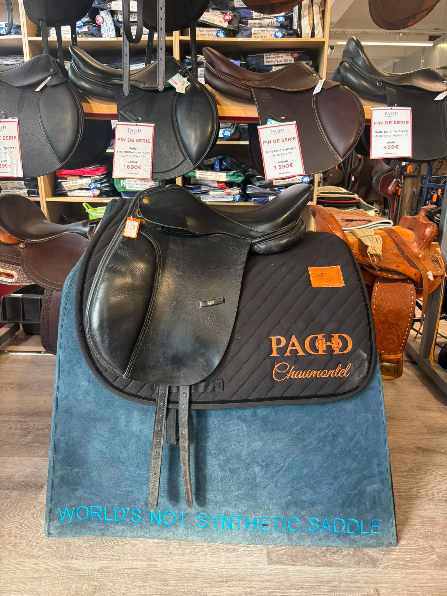 Dressage Cuir (127643)