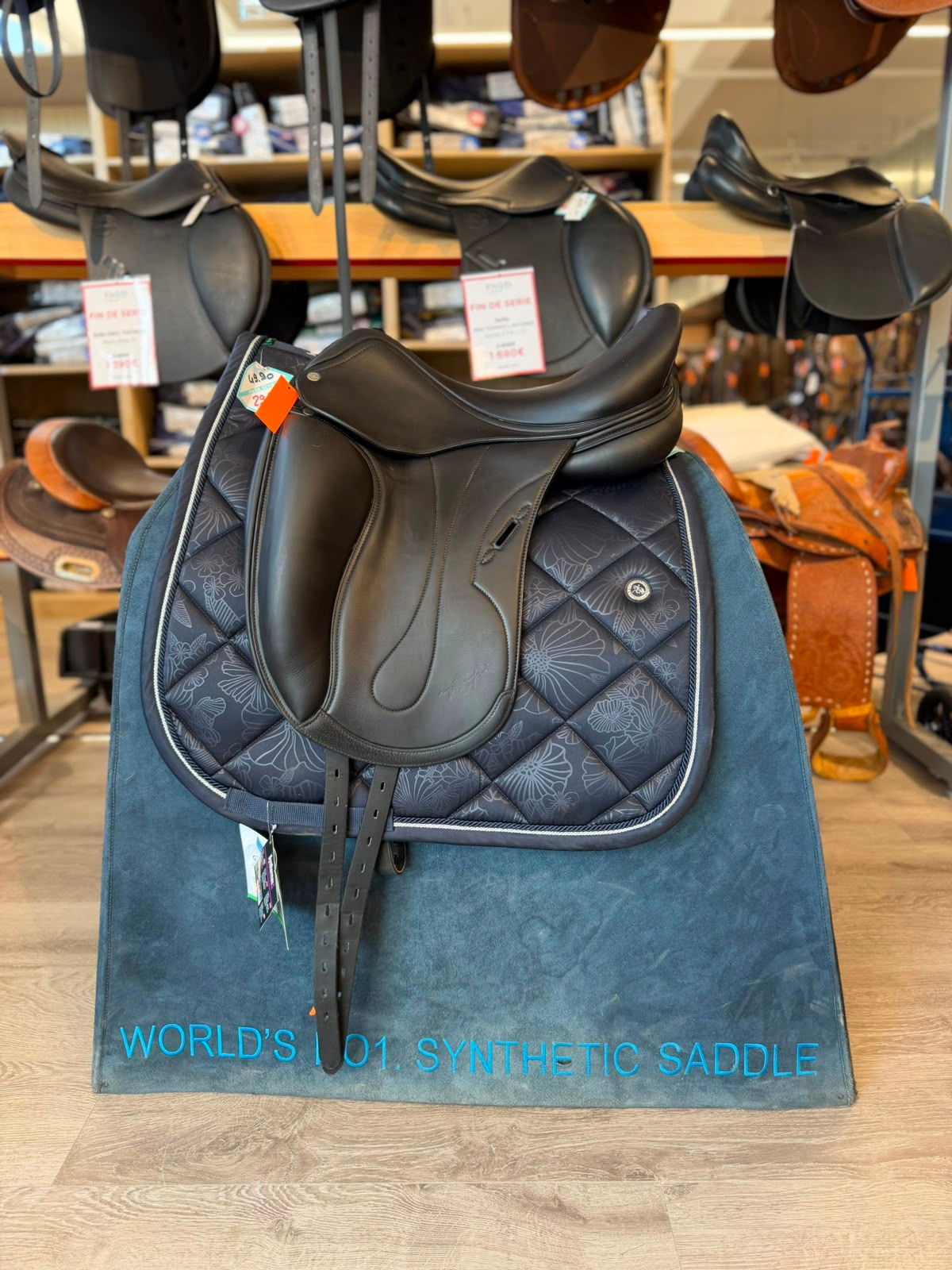 Equipe Dressage (127976)