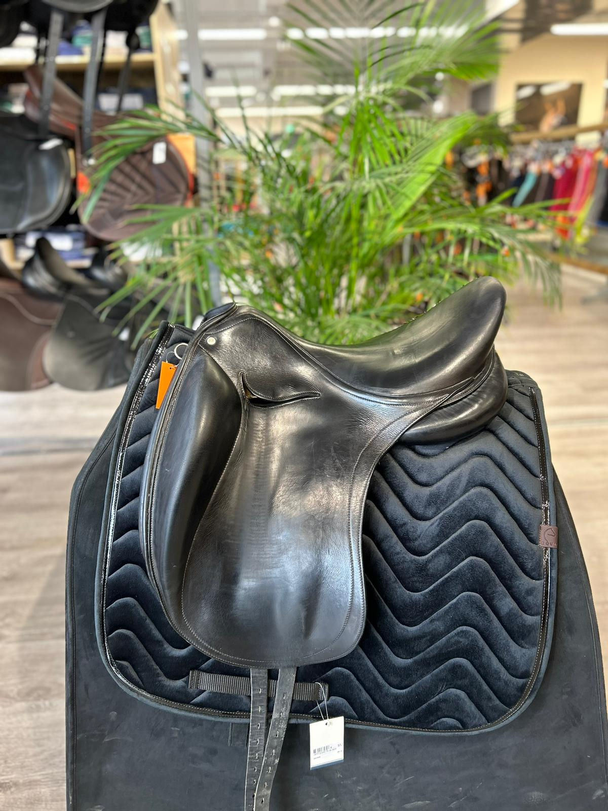 Macel Dressage (97965)