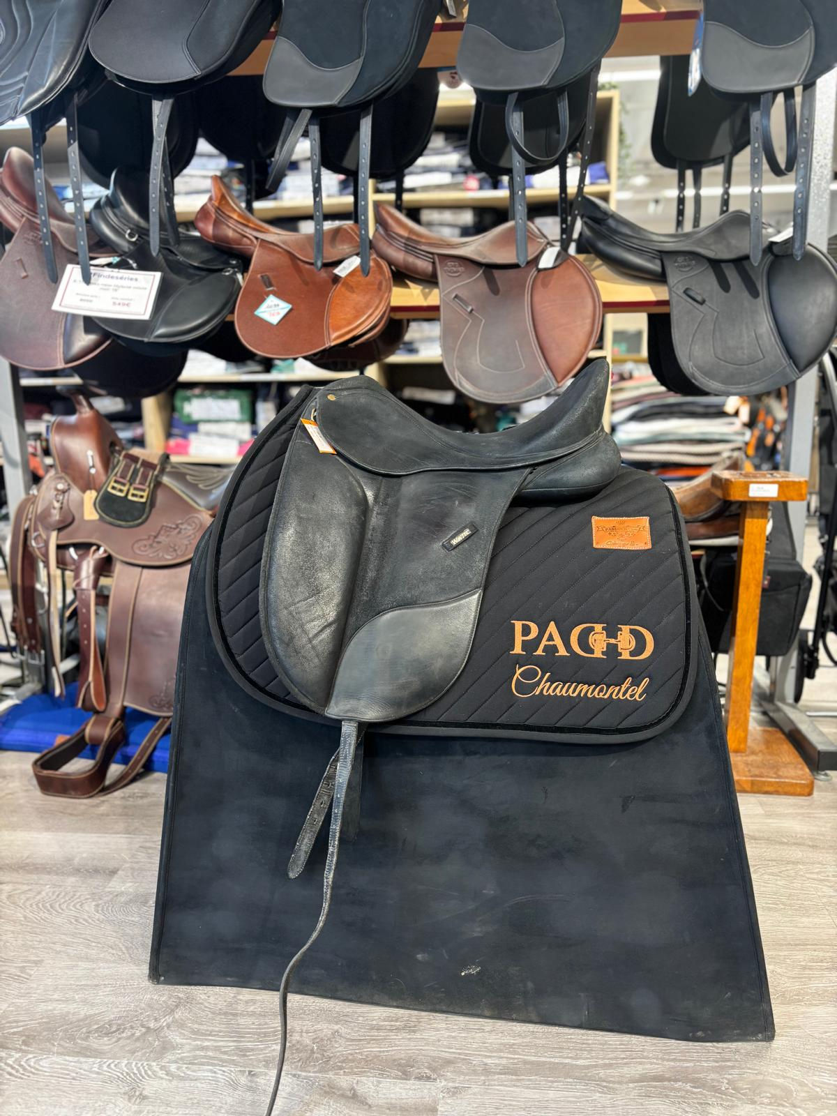 Wintec Dressage (122659)