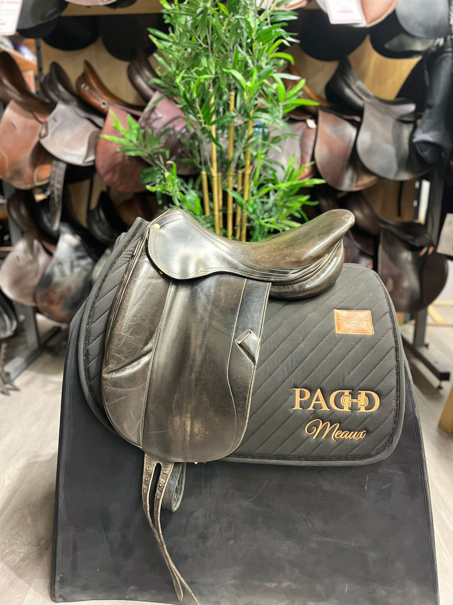 Forestier Dressage (72240)