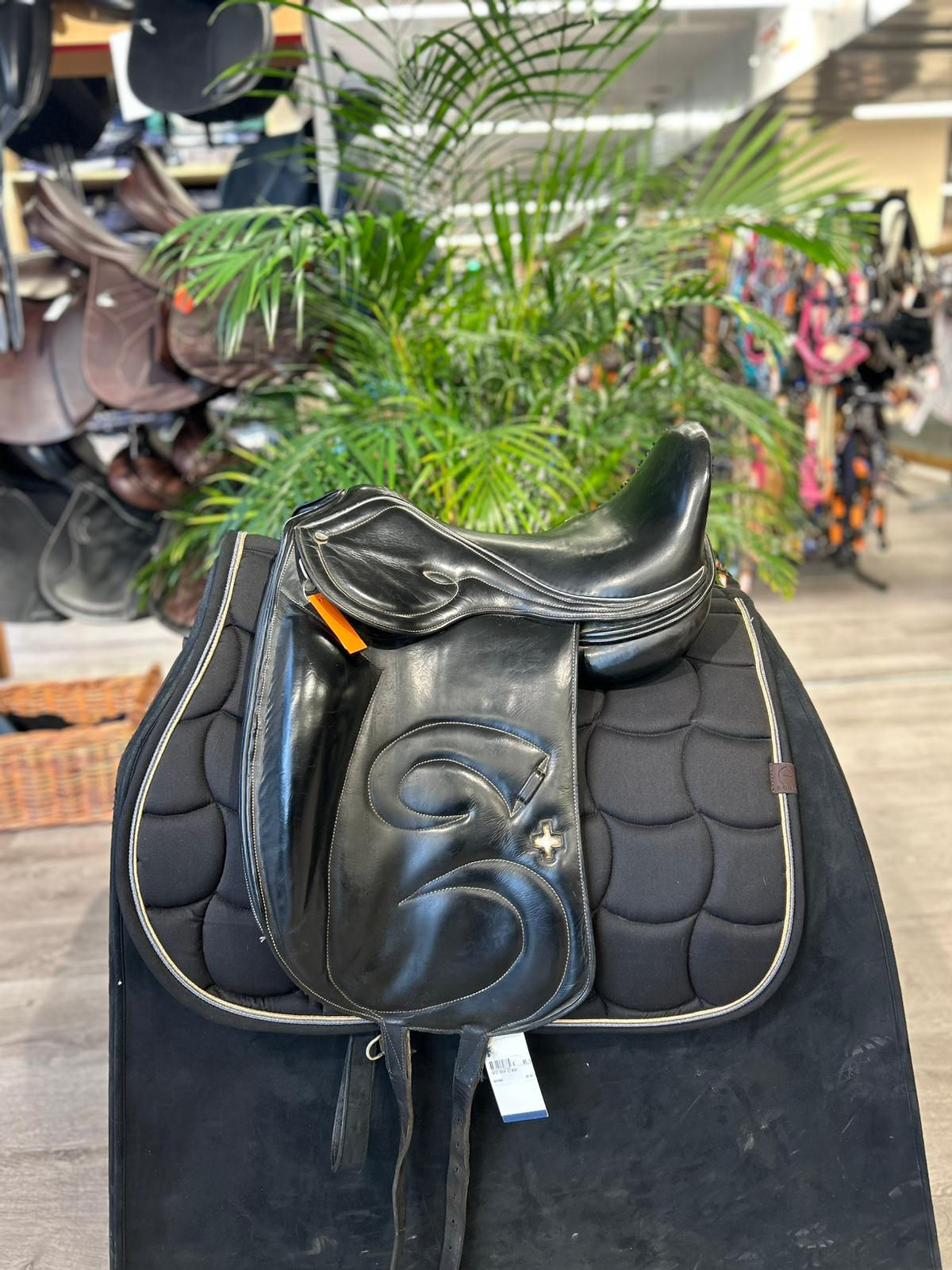 Hoffsteiner Dressage (107031)