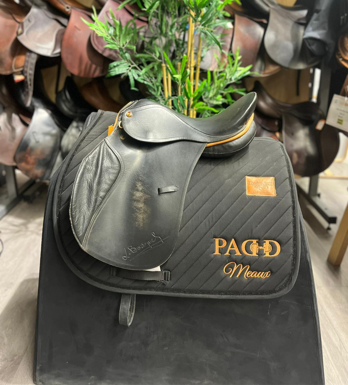 Passional Mixte (72534)