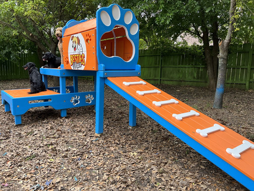 2 Level Platform w/ Tunnel & Ramp with your Logo | Puppy Scapes