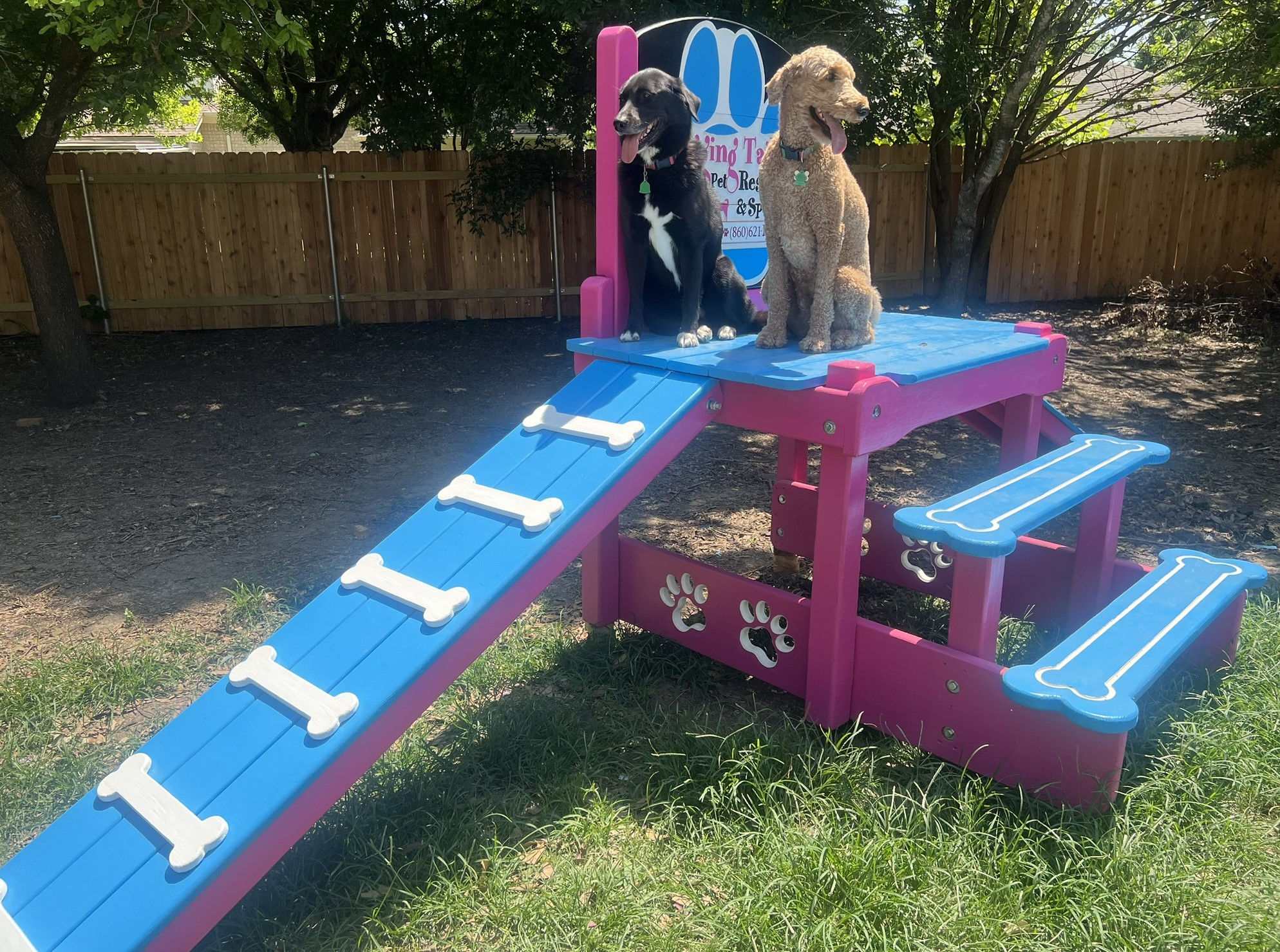 Double Ramp w/ Your Logo