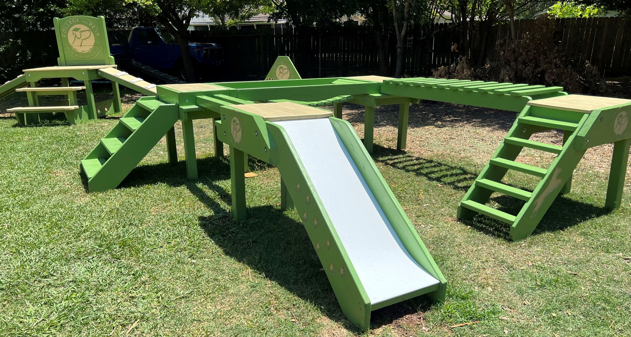 Agility Confidence Course w/ Your logo