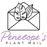 Untitled design (67).png