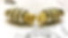 single-pin1-e1634677114283-1536x718_edit