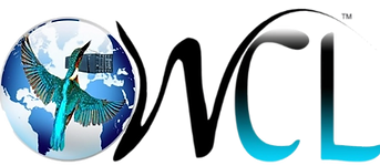 New log wO BACK_edited_edited.png