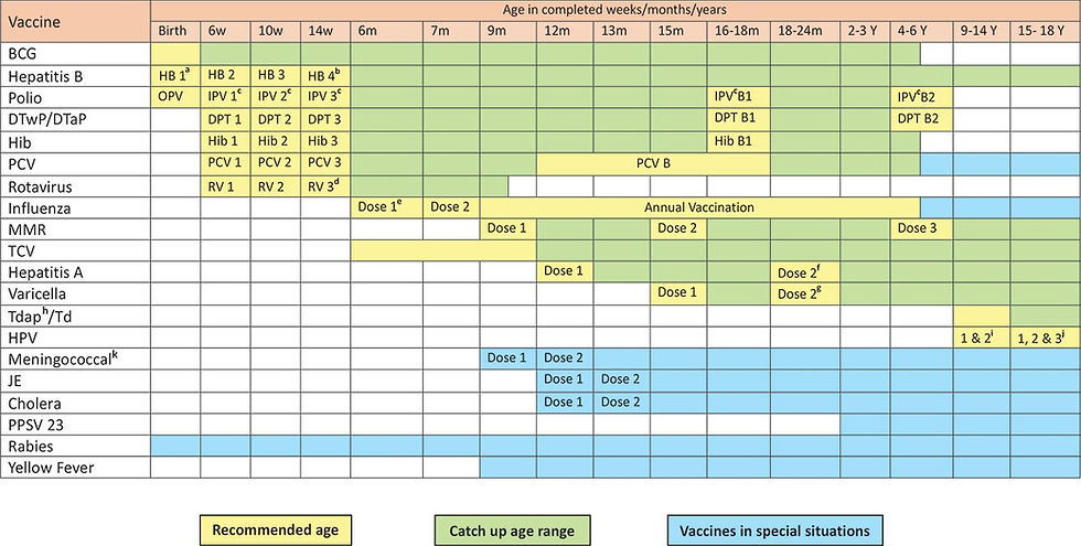 Colorful infographic showing IAP 2025 vaccine timeline for Indian children – BCG, Hep B, Polio, Pentavalent, Rotavirus, PCV, MMR, Varicella, Typhoid, HPV