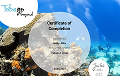 Kathy Allen's Tobago Course completion certificate