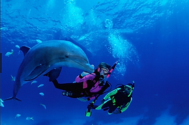 The Bahamas 2024-05-27 (12).png