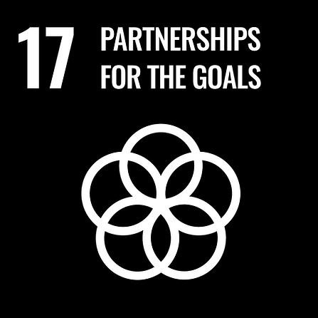 SDG-17.png