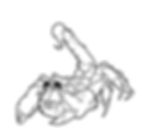garfield scorpion