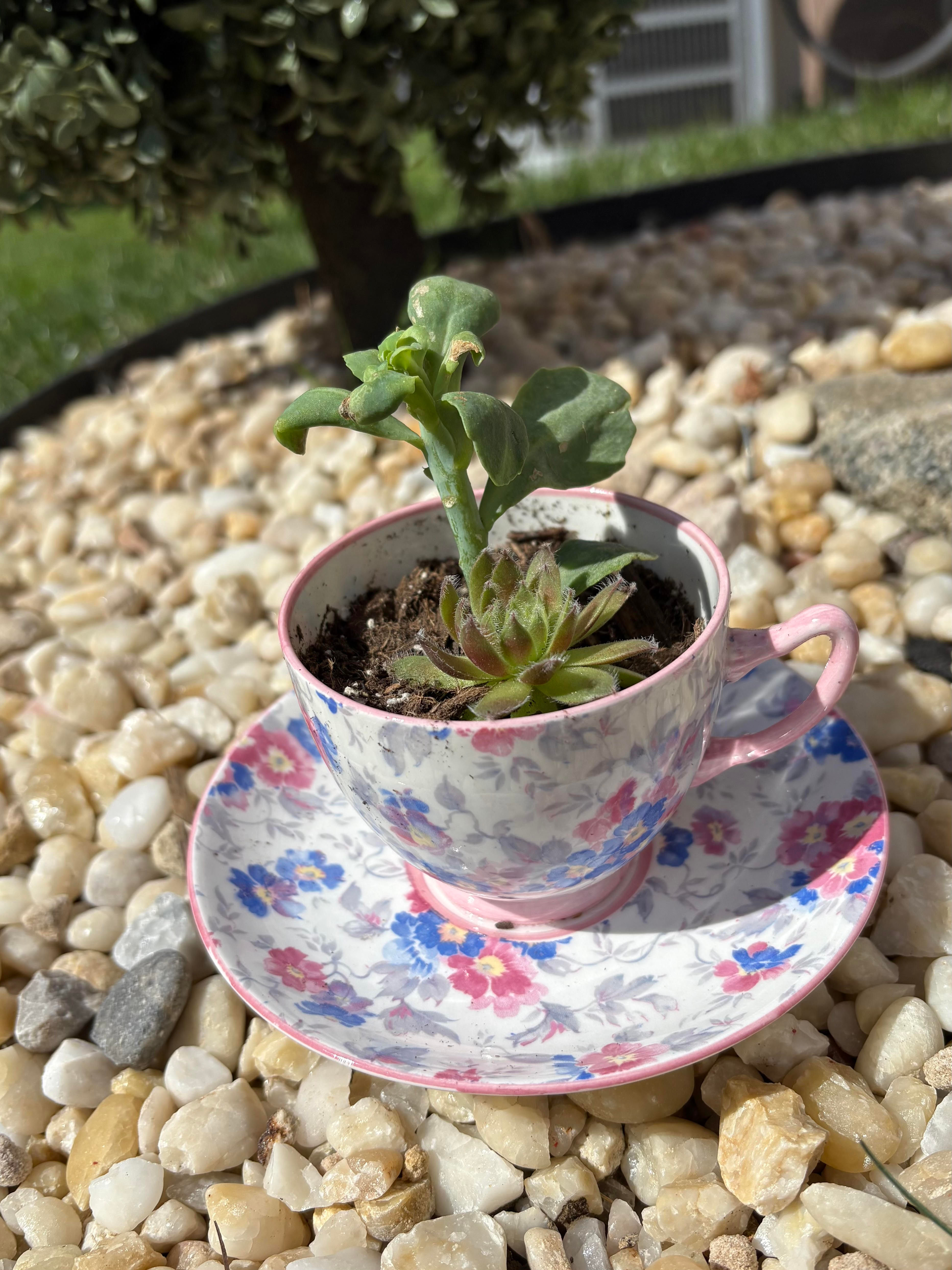 Floral China Planter