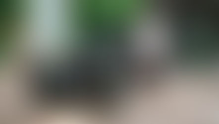 Jonathan Miller: a tribute to my mentor