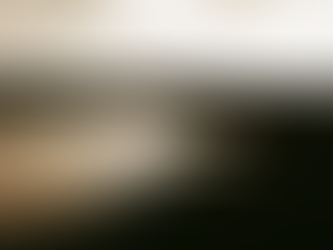 'Bearing News from the Land of the Dead'