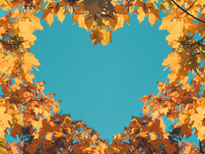 Tiny Habits, Big Shifts: Fall Mental Health Starts Small