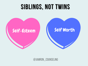 Self-Worth & Self-Esteem: Siblings, Not Twins