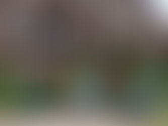 Self-Care Summer - Exploring Brooklyn With Intention