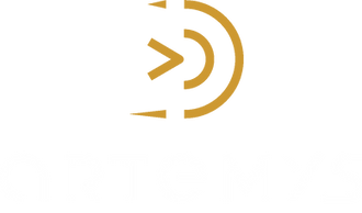 artemys conseil coaching roanne
