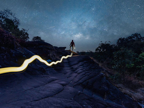 The Organizing Power of Intention