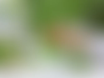 Why ‘There Is No God But Allah’ Should Shake Every Atheist’s World