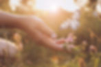 Woman and butterfly in meadow at sunrise, closeup. Health, spring, freedom, beauty.jpg