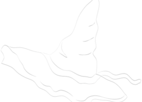 Emboss_witch.png