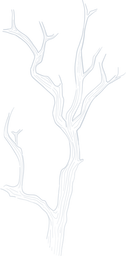 branch_edited.png