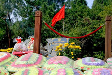 Tour Động Thiên Đường – Vũng Chùa