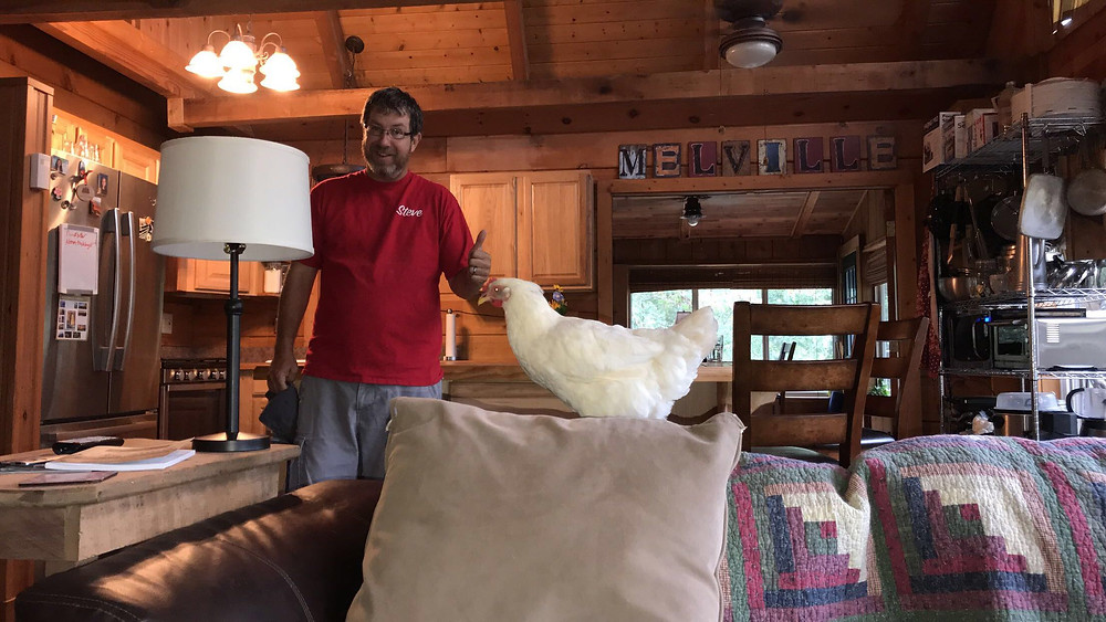 Steve finally was on board with Molly in the house.