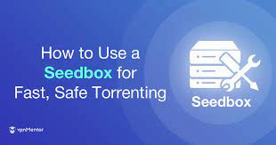 What are proficient seedbox facilitating organizations?