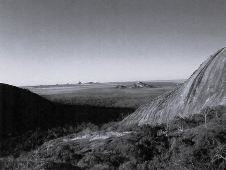 The Chingoma Leopard