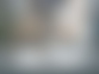 Whippet, Windhund, Zucht, Kennel, OfGlacierGraceKennel