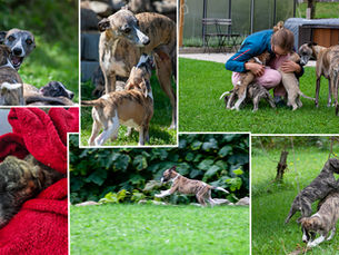 Woche 6 – 🐾Kleine Helden entdecken die Welt 🐾
