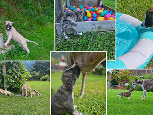 Woche 5 – Kleine Entdecker und die große weite Welt 🐾