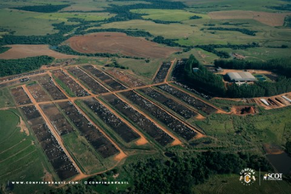 Sinergia no campo: integração Lavoura-Pecuária pela sustentabilidade na pecuária brasileira