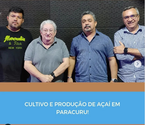 Cultivo e produção de açaí em Paracuru!