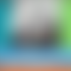 Confira como foi o Festival Internacional do Circo em Paracuru!