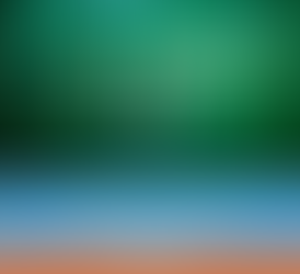 Celebrai 2022: Primeiro Dia do Evento.