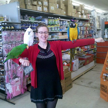 birds find rest in the hardware store